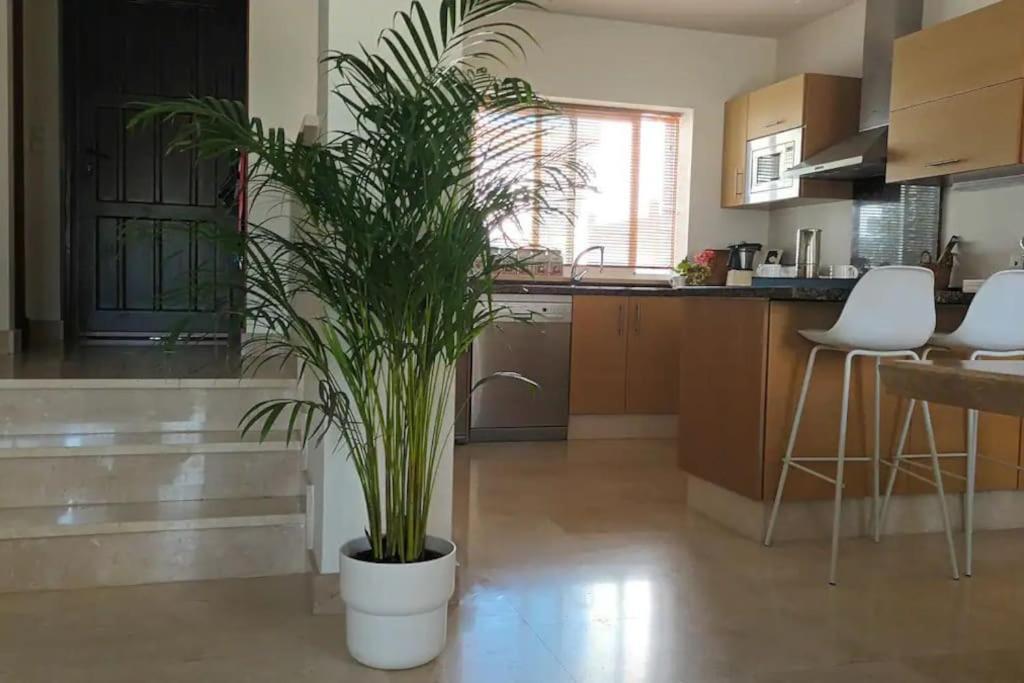 Casa Los Olivos Arcos de la Frontera Ngoại thất bức ảnh